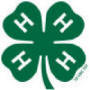 Various 4-H Club Activities of Elkhart County